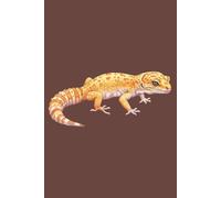 Leopard Gecko Journal: Part of the Lizard Collection - Themed for Kids, Teens & Adults - with Lined Pages