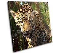 Leopard Jungle Big Cat Africa Animals SINGLE TELA parete arte foto stampa