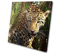 Leopard Jungle Big Cat Africa Animals SINGLE TELA parete arte foto stampa