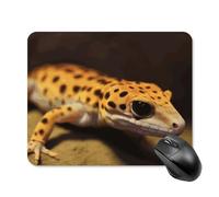 Leopard Little Gecko Tappetino per mouse quadrato per computer portatile con base in gomma antiscivolo 20 x 25 cm, tappetino per mouse ultra sottile per computer, laptop, accessori da scrivania da