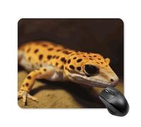 Leopard Little Gecko Tappetino per mouse quadrato per computer portatile con base in gomma antiscivolo 25 x 30 cm, tappetino per mouse ultra sottile per computer, laptop, accessori da scrivania da