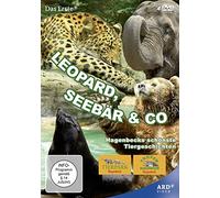 Leopard, Seebär & Co.