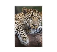Leopardo che riposa su un albero di benvenuto bandiera da giardino 0,6 x 0,9 m su entrambi i lati non sbiadisce bandiere per casa cortile cortile sfondo foto banner per cortile portico prato