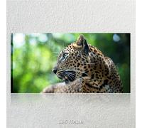 Leopardo QUADRO MODERNO STAMPA SU TELA ARREDO CASA PAESAGGI NATURA ANIMALI