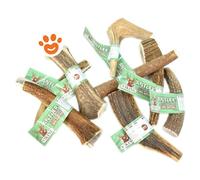 Viking Leopet Corna di Cervo aperte: L 130 gr
