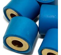 LeoVince - Pesi variatore di ricambio, 6 x 8,6 g, per Yamaha Minarelli