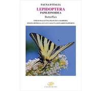 Lepidoptera Papilionoidea butterflies. Ediz. a colori