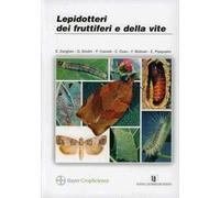 Lepidotteri dei fruttiferi e della vite