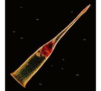 Leprous Melodies Of Atonement (Vinyl LP)