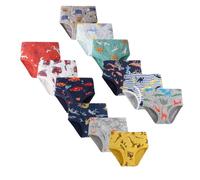 LeQeZe Slip Bambino in Cotone Intimo 5-6 Anni Mutande Ragazzo Confezione da 12 Pezzi (Boys Briefs 03,Etichetta del Produttore 130)