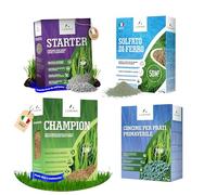 LERAVA Prato Bundle Completo CHAMPION (30-35 m²) - Semi Prato Resistente con Concimi Primavera Autunno e Antimuschio - Kit Cura Verde Intenso