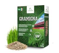 LERAVA Semi Gramigna per Prato (500 g) - Copertura 50 m² - Semi gramignone resistenti alla siccità - Ideali per prati mediterranei e costieri - Consumo d’acqua 20% ridotto