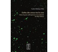 L'erba che cresce tra le cose. L'idea di spazio nell'empirismo trascendent...