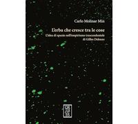 L'erba che cresce tra le cose. L'idea di spazio nell'empirismo trascendentale di Gilles Deleuze