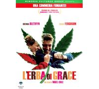 L'erba di Grace