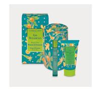 L'Erbolario Gin Botanicals Beauty Box Rizomi di Zenzero - Profumo 10 ml + Crema Profumata per il Corpo 75 ml + Confezione in Latta - EDIZIONE LIMITATA - Fragranza Agrumata, Aromatica e Muschiata
