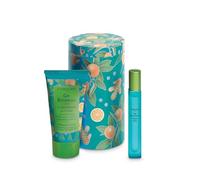 L'Erbolario Gin Botanicals Beauty Box Rizomi di Zenzero - Profumo 10 ml + Crema Profumata per il Corpo 75 ml + Confezione in Latta - EDIZIONE LIMITATA - Fragranza Agrumata, Aromatica e Muschiata