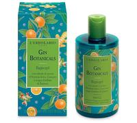 GIN BOTANICALS BAGNOGEL 300ML