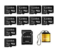 Lerdisk Confezione da 10 Schede Micro SD 1GB Classe 4 | Per Lettori MP3, Telefoni Obsoleti & Dispositivi SD | IP65, Antishock e Certificato CE