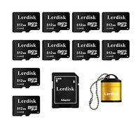 Lerdisk Scheda Micro SD da 512 MB all'ingrosso di fabbrica, confezione da 10 pezzi, piccola capacità solo per piccoli file, non adatta per fotocamera, telefono (non GB, 1024MB = 1 GB)
