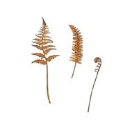 Lerpwige Rusty Stake Foglie Statua Foglie arrugginite Piante a forma di Figura Per Interni ed Esterni Sculture Decori