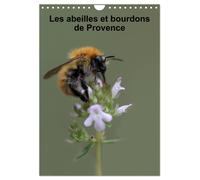 Les abeilles et bourdons de Provence (Calendrier mural 2027 DIN A4 horizontal),