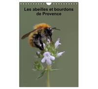 Les abeilles et bourdons de Provence (Calendrier mural 2027 DIN A4 horizontal), CALVENDO calendrier mensuel: Nos amis les abeilles et les bourdons solitaires et sauvages