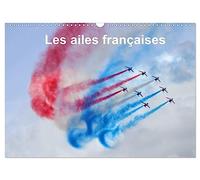 Les ailes françaises (Calendrier mural 2026 DIN A3 vertical), CALVENDO calendrier mensuel: Les ailes françaises escortent un Boeing