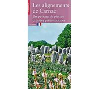 Les alignements de Carnac: Un paysage de pierres dressées préhistoriques