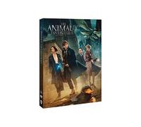 Les animaux fantastiques (DVD) Redmayne Eddie Waterston Katherine Fogler Dan