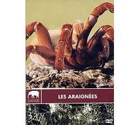Les araignées