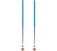 Les batons d'Alain - Bastoncini da sci scialpinismo - Azur - Taglia 115 cm - Blu