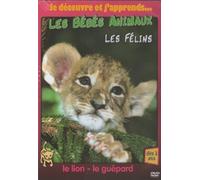 Les bebes animaux, vol.1 : les felins
