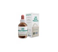 Les betula pubescens gocce50ml