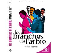 Les branches de l'arbre