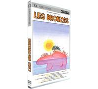 Les bronzes