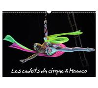 Les cadets du cirque à Monaco (Calendrier mural 2026 DIN A3 vertical), CALVENDO calendrier mensuel: New Generation est le spectacle consacré aux ... du Cirque de Monte-Carlo, les futurs stars.