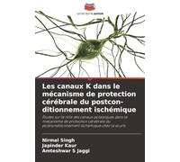 Les canaux K dans le mécanisme de protection cérébrale du postcon-ditionnement ischémique