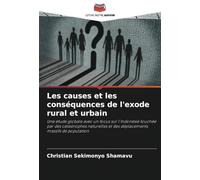 Les causes et les conséquences de l'exode rural et urbain: Une étude globale avec un focus sur l'Indonésie touchée par des catastrophes naturelles et des déplacements massifs de population