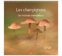 Les champignons - Un monde merveilleux (Calendrier mural carré 2026 30 x 60 cm (ouvert)) Calendrier double avec une page pour vos prises de notes