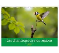 Les chanteurs de nos régions - Notre nature intime (Calendrier mural 2027 DIN A3