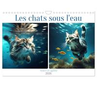 Les chats sous l'eau (Calendrier mural 2026 DIN A4 vertical), CALVENDO calendrier mensuel: Découvrez la grâce aquatique de nos amis félins.