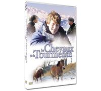 Les chevaux de la tourmente