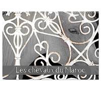 Les chevaux du Maroc (Calendrier mural 2026 DIN A3 vertical), CALVENDO calendrier mensuel: Balade dans les haras marocains