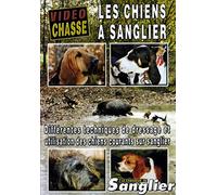 Les chiens a sanglier - Vidéo Chasse - Chasse du grand gibier