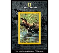 Les chiens sauvages de l'okava