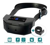 Les choses de la vie