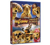 Les copains chasseurs de trésor