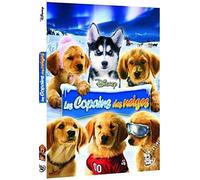 Les copains des neiges