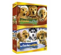 Les copains fêtent noël